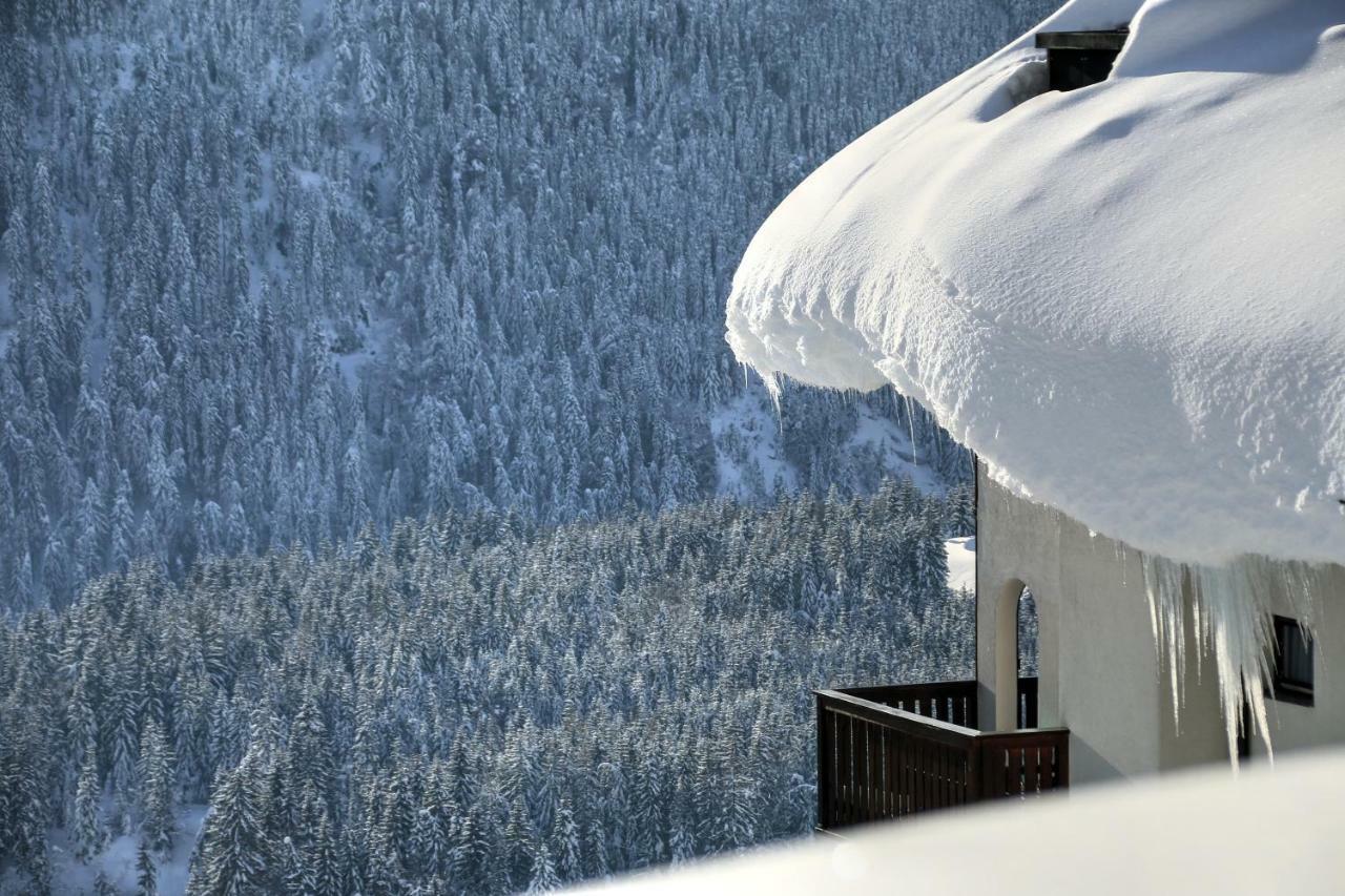 Studio "Children Of Powdersnow" Mühlbach am Hochkönig Exteriör bild
